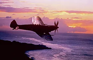 Modern Aircraft, 14136650