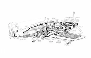 Military Aviation 1903-1945 Cutaways Collection: North American P-51A Mustang Cutaway Drawing