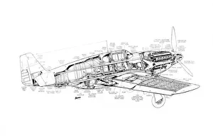 Military Aviation 1903-1945 Cutaways Collection: North American P-51A Mustang Cutaway Drawing