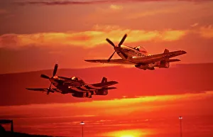 North American P-51D Mustang pair