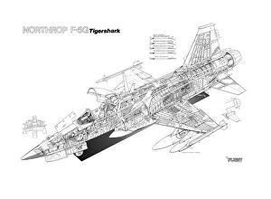 Northrop F-5G Tigershark Cutaway Drawing