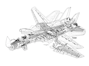 Military Aviation 1946-Present Cutaways Collection: Northrop Grumman F-14A Tomcat Cutaway Drawing
