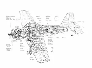 Military Aviation 1946-Present Cutaways Gallery: Percival P56 Piston Provost Cutaway Drawing