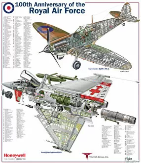 RAF 100th Anniversary