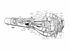 Aeroengines - Piston Cutaways Collection: Rolls Royce Derwent Cutaway Drawing