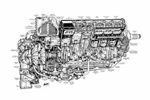 Aeroengines - Piston Cutaways Collection: Rolls Royce Griffon Cutaway Drawing
