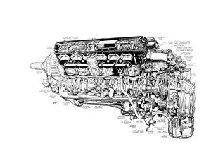 Aeroengines - Piston Cutaways Gallery: Rolls Royce Merlin XX Cutaway Drawing