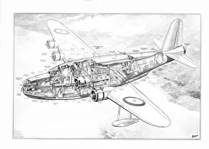 Military Aviation 1903-1945 Cutaways Collection: Short S25 Sunderland Cutaway Drawing