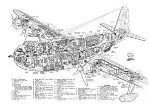 Military Aviation 1903-1945 Cutaways Collection: Short Shetland Cutaway Drawing
