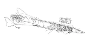 Short Stiletto F Cutaway Drawing