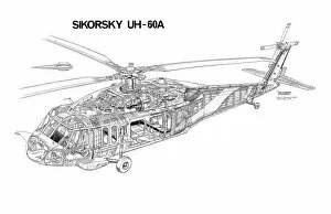 Military Helicopter Cutaways Gallery: Sikorsky UH-60A (c) Flight