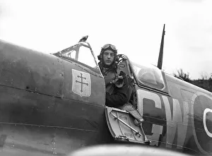 Spitfire Pilot
