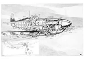 Military Aviation 1903-1945 Cutaways Collection: Supermarine Spitfire Cutaway Drawing