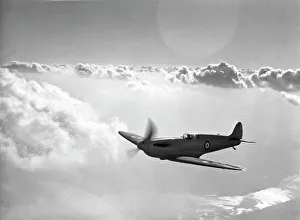 Flight Collection: 