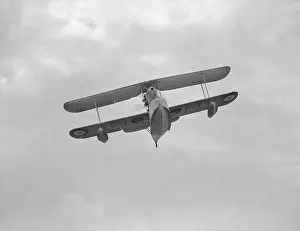 Historical Prints: Supermarine Walrus (c) Flight The Flight Collection 020 8652 8888