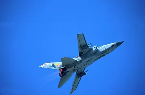 Flight Collection: Tornado F3 (c) Wagner