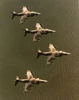 USMC AV-8B Harrier II s