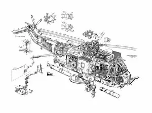 Military Helicopter Cutaways Gallery: Westland Sea King Cutaway Drawing