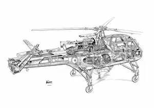 Military Helicopter Cutaways Gallery: Westland Wasp Cutaway Drawing