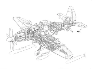 Westland Wyvern Cutaway Drawing